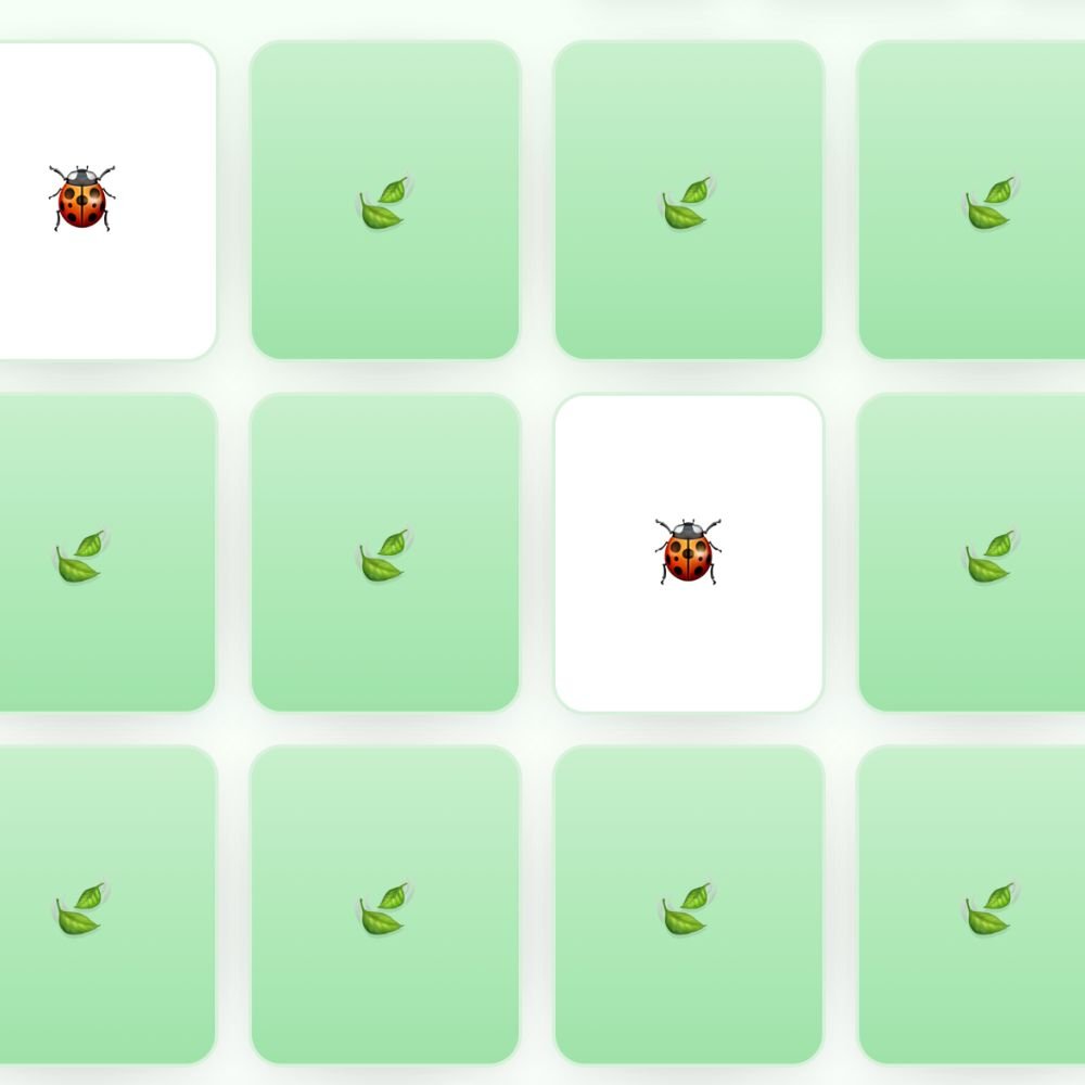 Insect Match Game