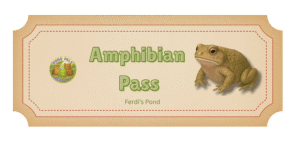 Ticket image with Amphibian Pass written on it
