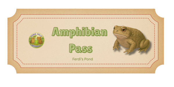 Ticket image with Amphibian Pass written on it