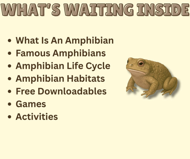 Amphians Module TOC
